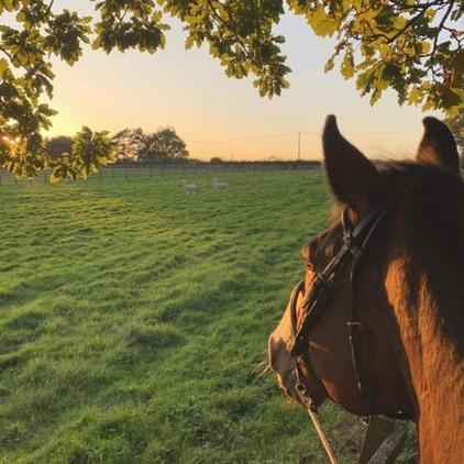 Swallows Oast Glamping Sedlescombe Экстерьер фото