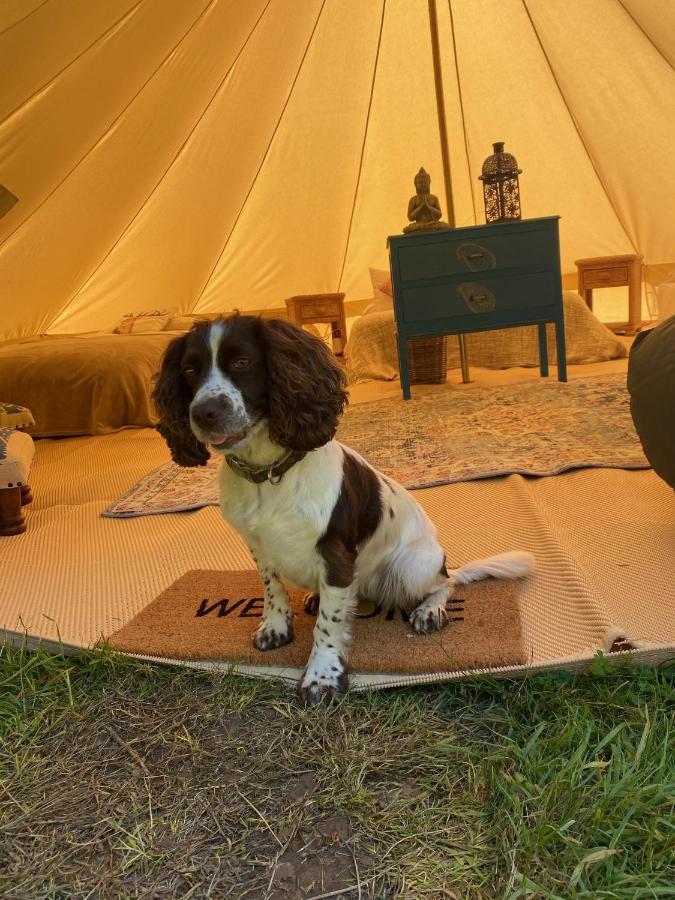 Swallows Oast Glamping Sedlescombe Экстерьер фото